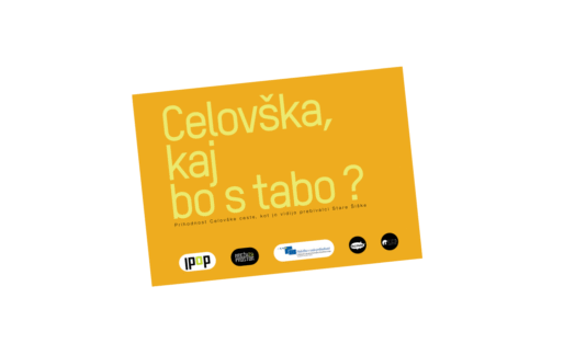 Celovška, kaj bo s tabo? Prihodnost Celovške ceste, kot jo vidijo lokalni prebivalci Stare Šiške