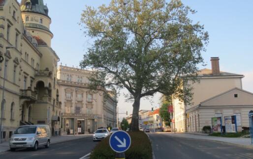 Zelena svetovalnica pomagaj