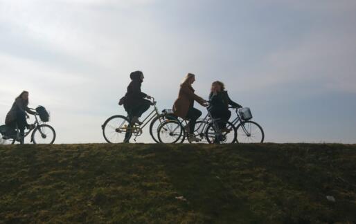 Ženske in urejanje prostora