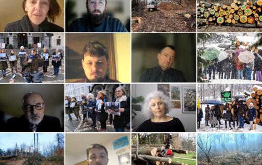 Razprava potrdila utemeljenost dvomov o preudarnosti sekanja na Rožniku