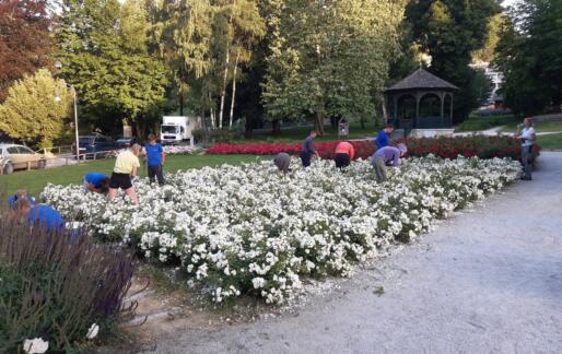 Mesta >> mestom: Sodobni pristopi k urejanju zelenih površin