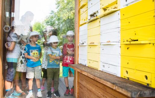 Mesta >> mestom: API vrtec