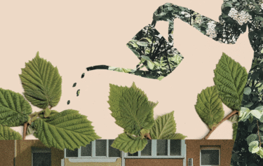 International Conference The Power of Nature in Cities