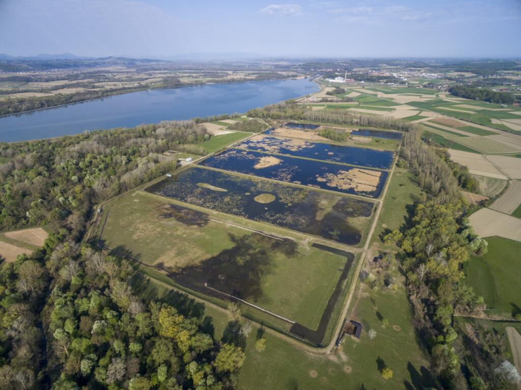 Ormož / Naravni rezervat Ormoške lagune po naravovarstveni obnovi. Foto: Tilen Basle