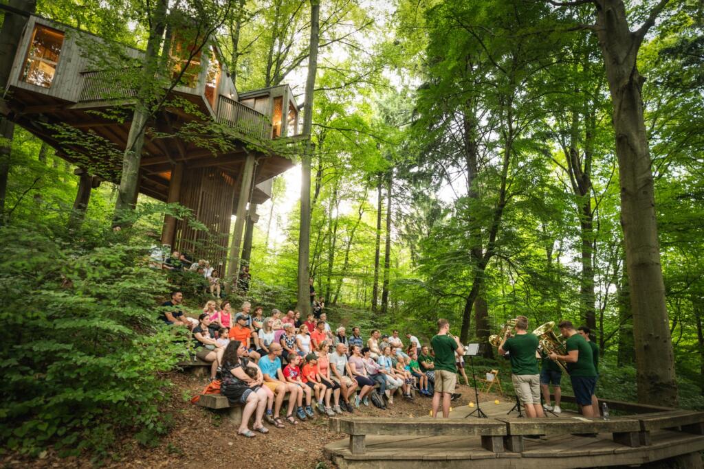 Celje / Gozd je prizorišče kulturnih in športnih dogodkov. Foto: MP produkcija