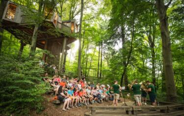 Mesta >> mestom: Mestni gozd