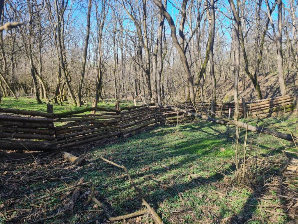 Püspökszilágy / Enojna pregrada iz hlodovine. Foto: Krisztián Mészáros