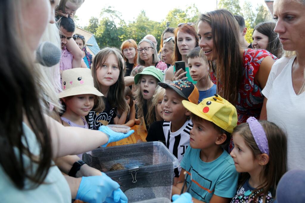 Del programa so tudi izobraževalne delavnice za otroke.
Foto: Adela Jakielaszek