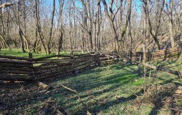 Mesta >> mestom: Naravni ukrepi zadrževanja vode