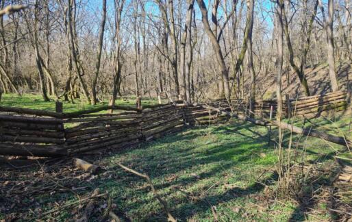 Mesta >> mestom: Naravni ukrepi zadrževanja vode