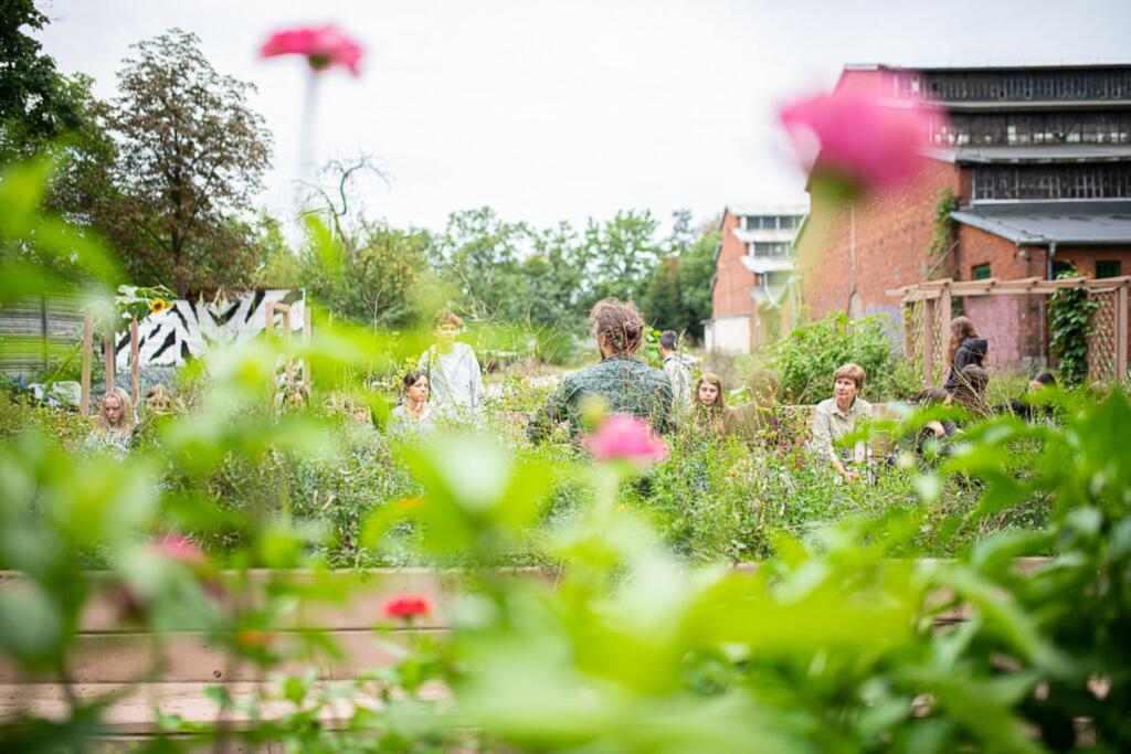 Skupnostni vrt. Foto: Piotr Zarecki