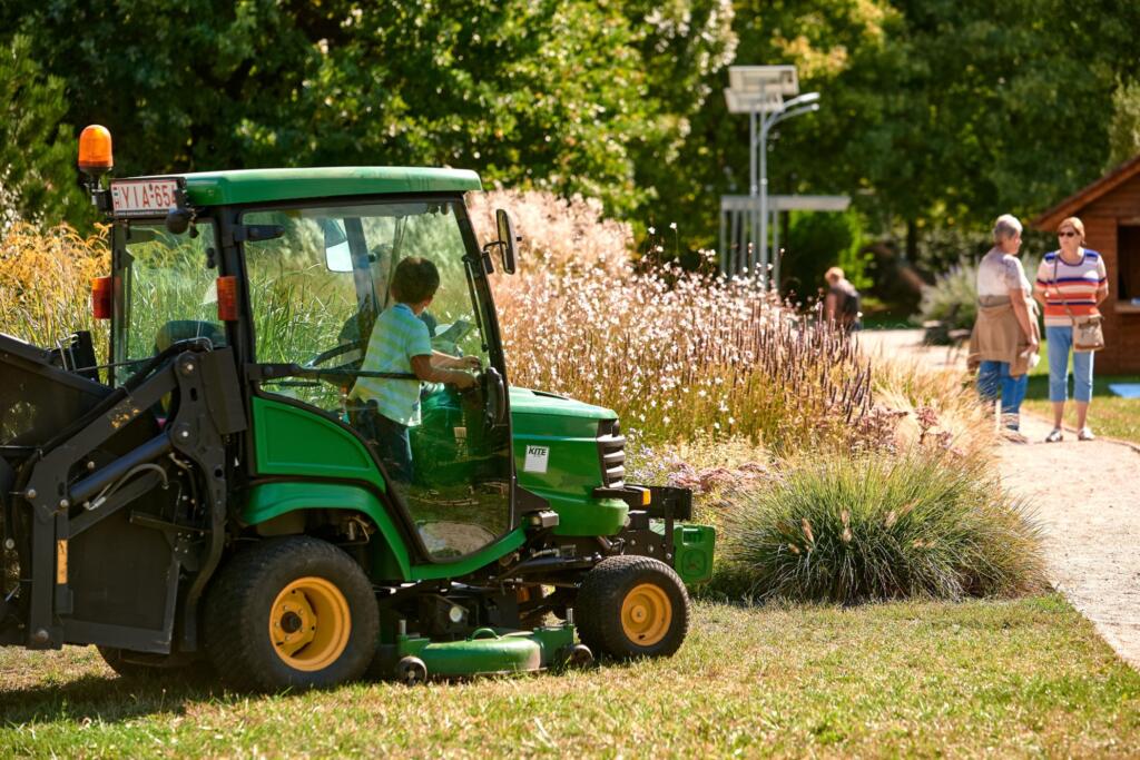 Semena travniških cvetlic so zbrali na okoliških rastiščih. Foto: Tamás Köller, VVI Ltd.