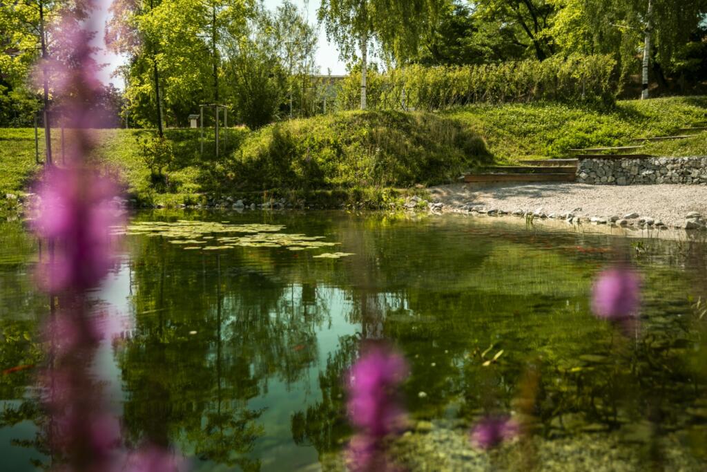 Uredili so tudi manjši ribnik. Foto: Matej Cagala, Lukáš Patrik