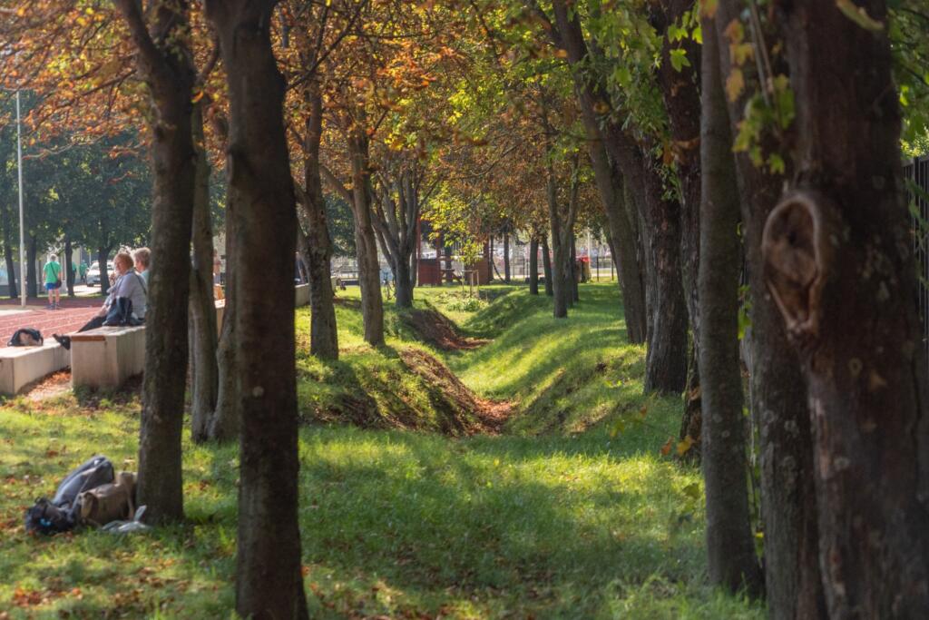 Zadrževalniki padavinske vode. Foto: Matej Cagala, Lukáš Patrik
