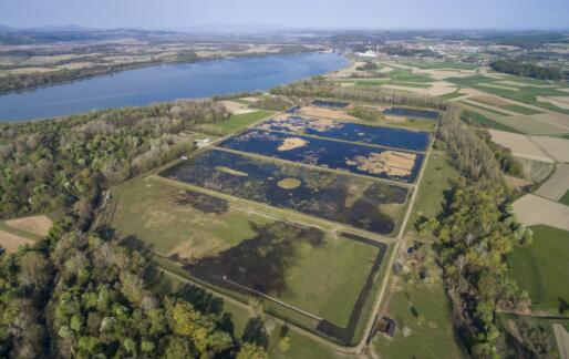 [Vabilo] Spoznaj mojo dobro prakso: Obnova narave v mestih in naseljih in URBACT info dan