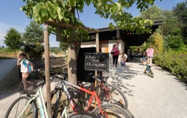 Podnebne rešitve v praksi: štiri zgodbe iz slovenskih mest