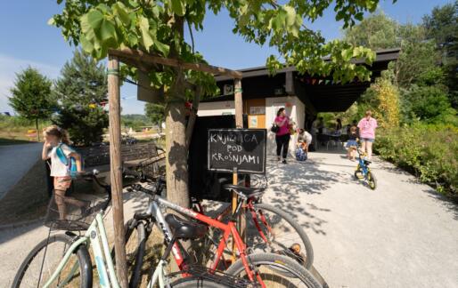 Podnebne rešitve v praksi: štiri zgodbe iz slovenskih mest